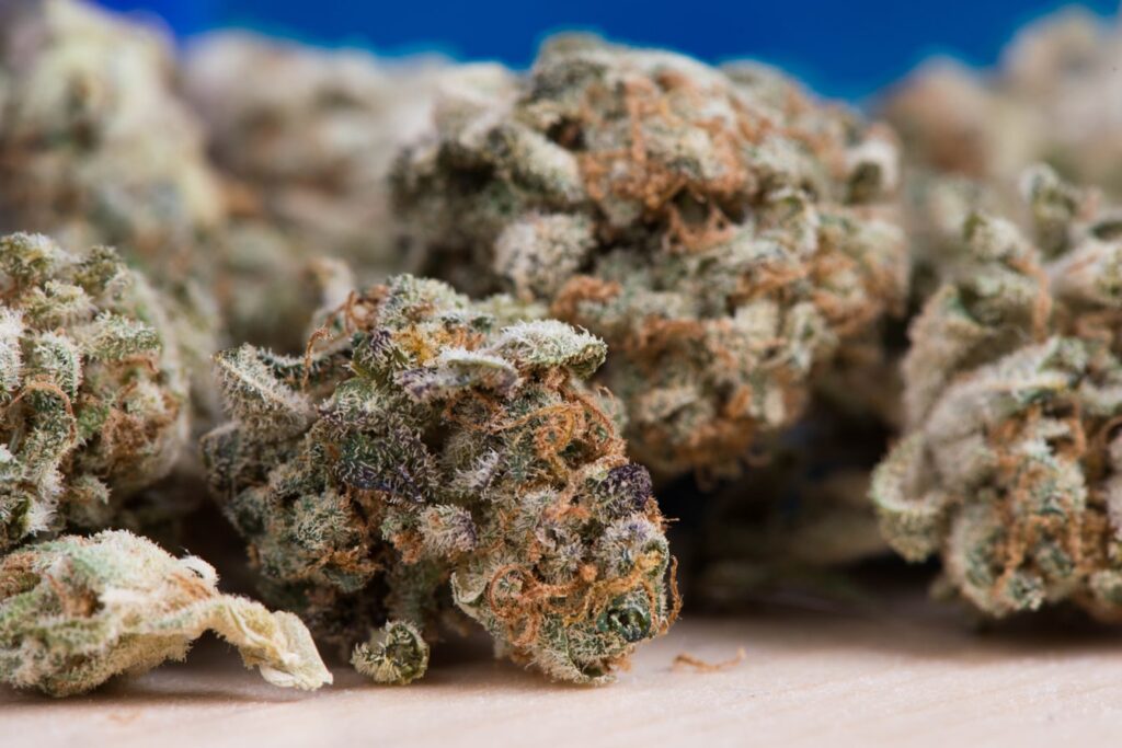 Cannabis-Trocknung und -Aushärtung: Maximale Potenz und Geschmack