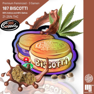 187 Sweedz - SA4 - BISCOTTI - Samen (3 Stück)