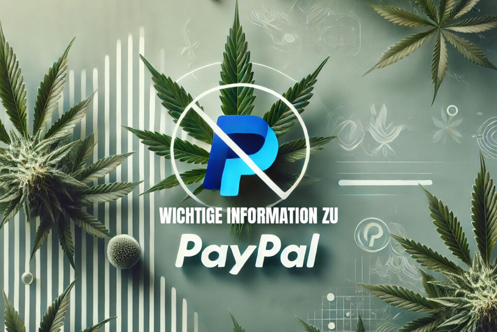 PayPal und die Zukunft unserer Zahlungsmethoden bei BubatzLager.de